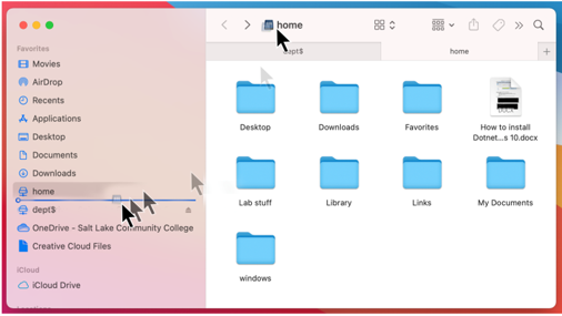 Image of folders and files on the Home drive.