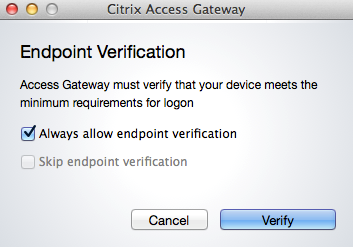 Citrix Access Gateway Endpoint Analysis