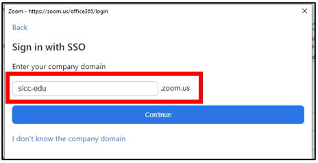 Image of the domain field for the single sign on page.
