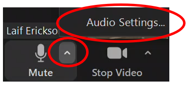 Image of the audio settings.