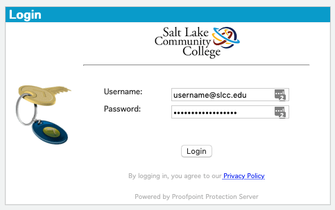 Image of proof point web console window.